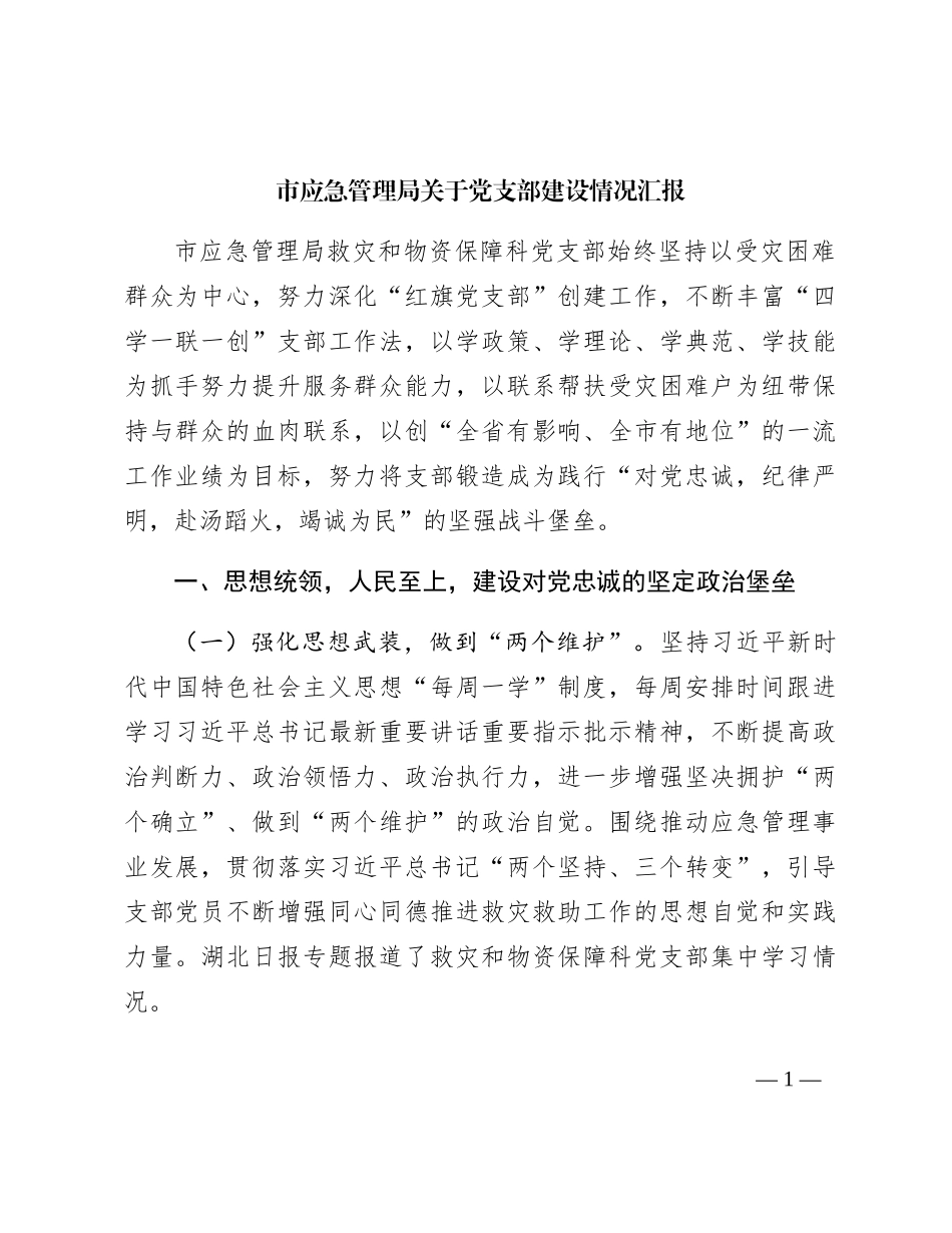 市应急管理系统近年来党支部建设情况总结汇报_第1页