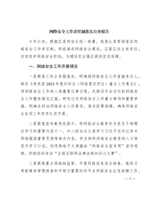 网络安全工作责任制落实自查总结报告1400字