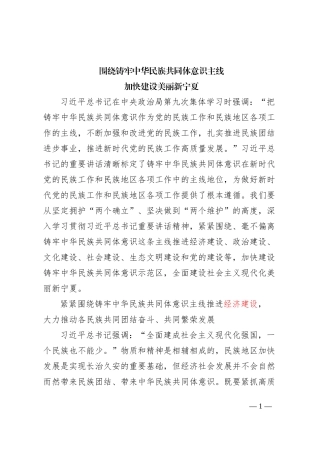 围绕铸牢中华民族共同体意识主线加快建设美丽新XX4100字