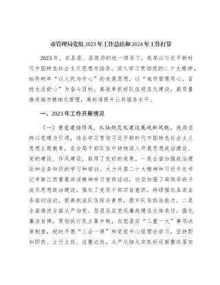 城市管理局党组2023年工作总结和2024年工作打算