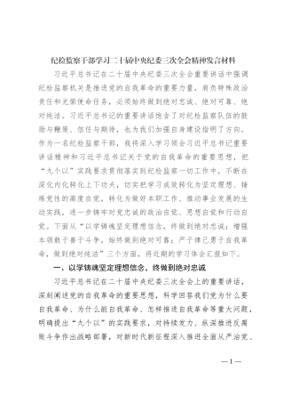 纪检监察干部学习二十届中央纪委三次全会精神发言材料