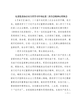 纪委监委办公室主任学习中央纪委三次全会精神心得体会