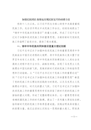加强民族团结 凝聚起实现民族复兴的磅礴力量