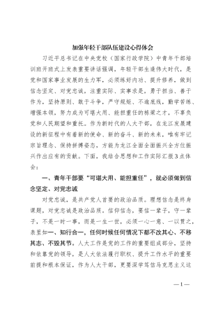 加强年轻干部队伍建设心得体会