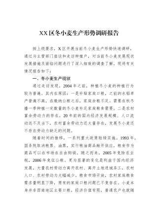 XX区冬小麦生产形势调研报告
