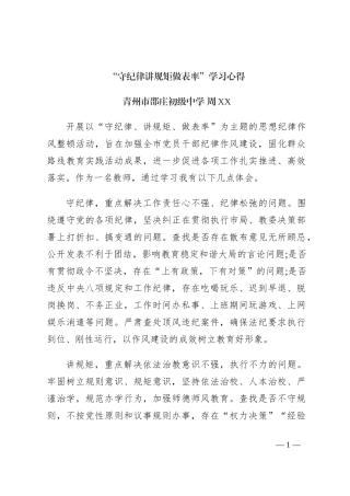 “守纪律讲规矩做表率”学习心得
