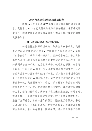 202X年度纪检委员述责述廉报告