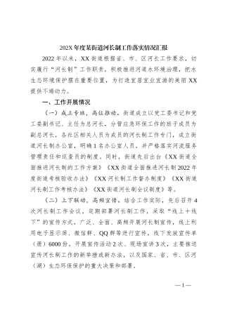 202X年度某街道河长制工作落实情况汇报