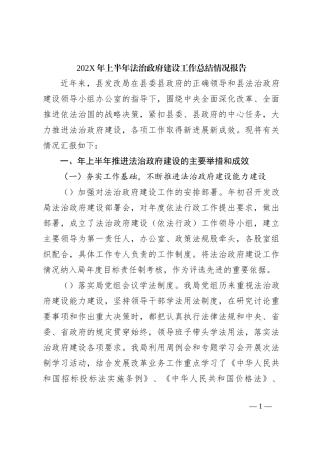 202X年上半年法治政府建设工作总结情况报告