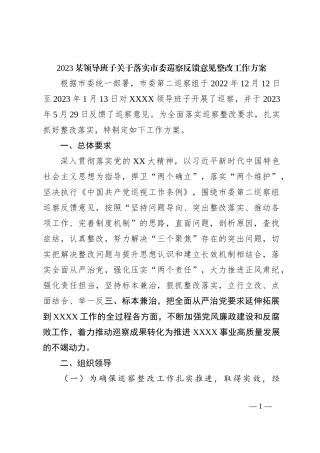 2023某领导班子关于落实市委巡察反馈意见整改工作方案