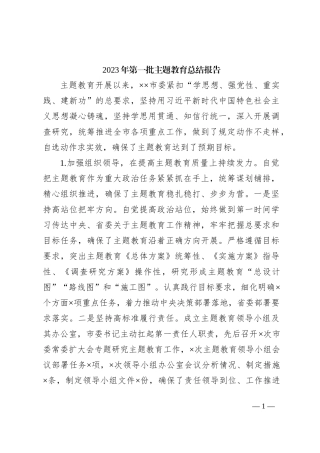 2023年第一批主题教育总结报告