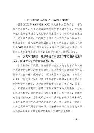 2023年度XX局长领导干部述法工作报告