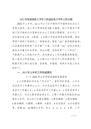 2023年度某国企上半年工作总结及下半年工作计划