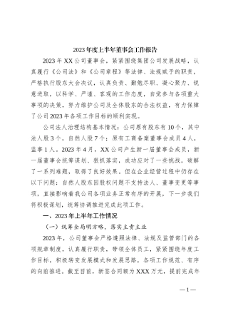 2023年度上半年董事会工作报告