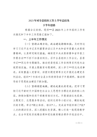 2023年对全县组织工作上半年总结及下半年思路