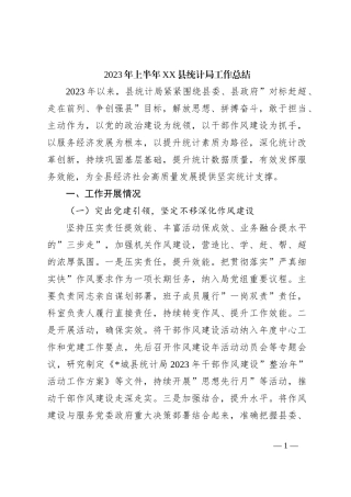 2023年上半年XX县统计局工作总结