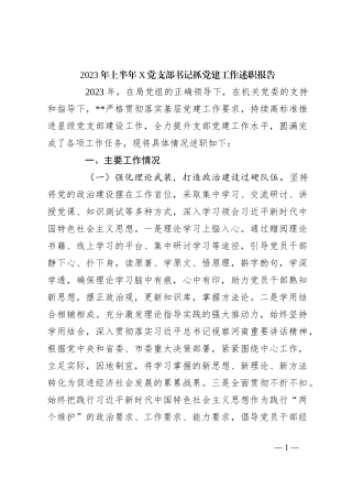 2023年上半年X党支部书记抓党建工作述职报告