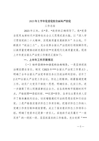 2023年上半年党委党组全面从严治党工作总结