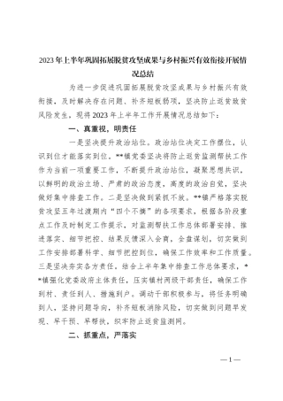 2023年上半年巩固拓展脱贫攻坚成果与乡村振兴有效衔接开展情况总结