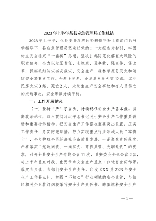 2023年上半年某县应急管理局工作总结
