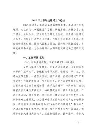 2023年上半年统计局工作总结