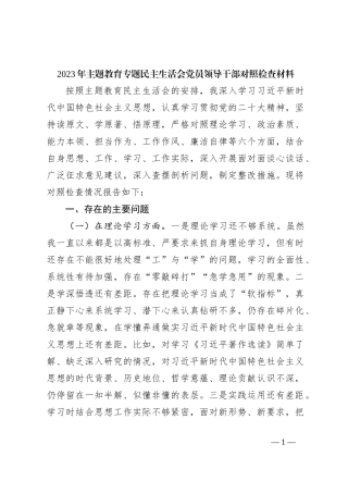 2023年主题教育专题民主生活会党员领导干部对照检查材料
