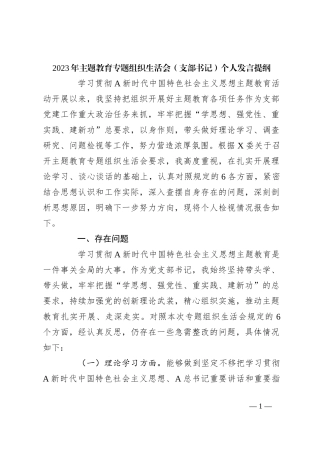 2023年主题教育专题组织生活会 （支部书记）个人发言提纲