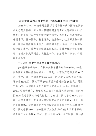 xx市统计局2023年上半年工作总结和下半年工作计划