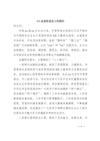 XX市委常委会工作报告