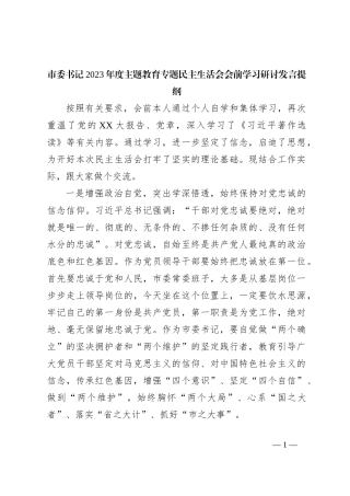XX市委书记2023年度主题教育专题民主生活会会前学习研讨发言提纲