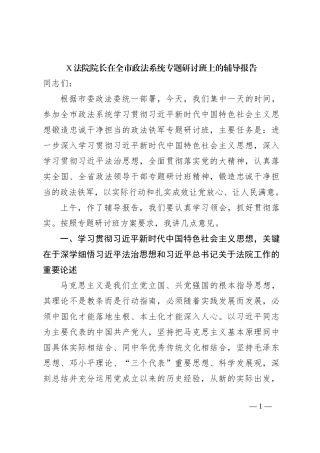 X法院院长在全市政法系统专题研讨班上的辅导报告