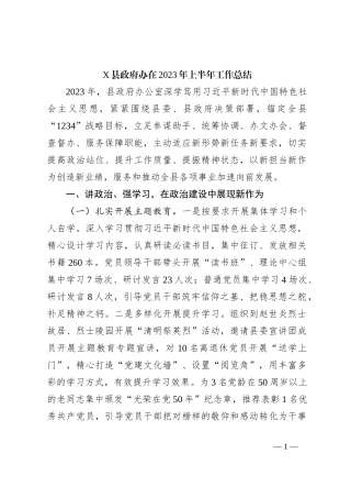 X县政府办在2023年上半年工作总结