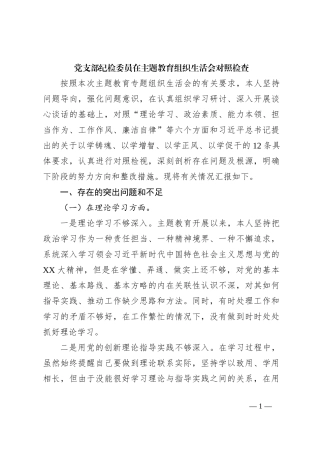 党支部纪检委员在主题教育组织生活会对照检查