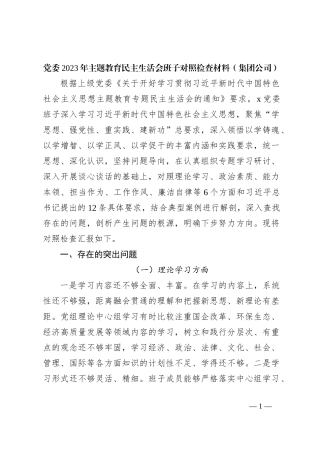 党委2023年主题教育民主生活会班子对照检查材料（集团公司）