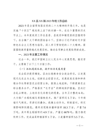 XX县XX镇2023年度工作总结