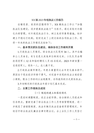 XX镇2023年度执法工作报告