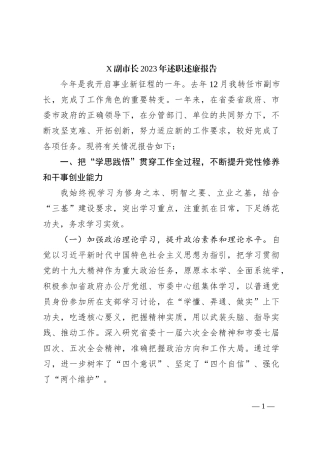 X副市长2023年述职述廉报告