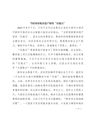 当好国家粮食稳产保供“压舱石”