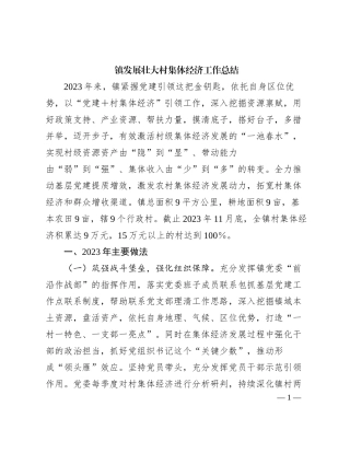 2023121505：XX镇发展壮大村集体经济工作总结