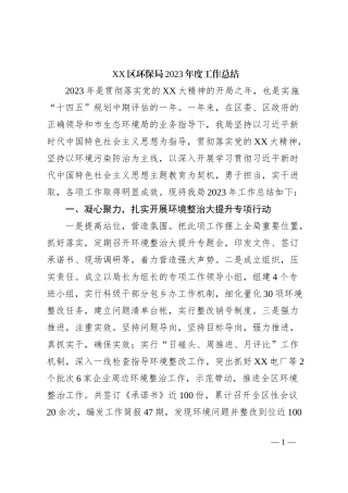 XX区环保局2023年度工作总结