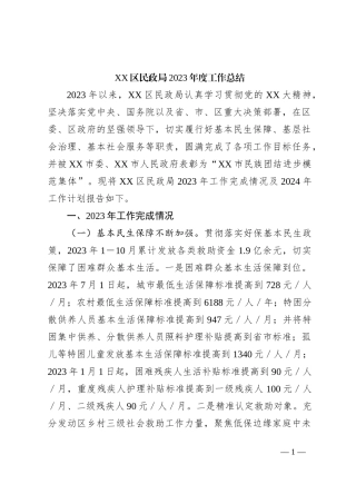 XX区民政局2023年度工作总结