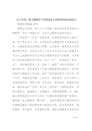 2023年第二批主题教育工作推进会上的典型经验交流发言