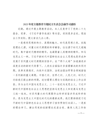 2023年度主题教育专题民主生活会会前学习感悟 (2)