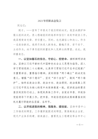 2023年任职表态发言