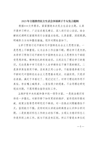 2023年主题教育民主生活会乡镇班子个人发言提纲