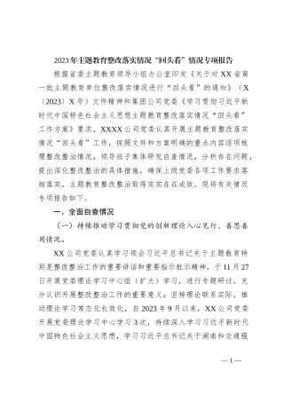 2023年主题教育整改落实情况“回头看”情况专项报告