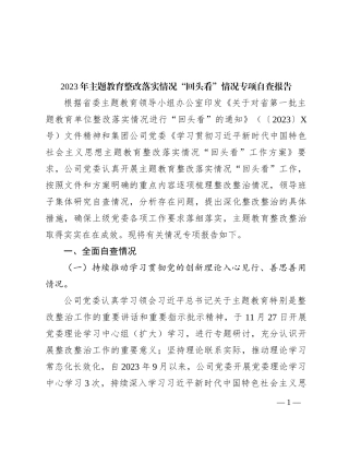 2023年主题教育整改落实情况“回头看”情况专项自查报告
