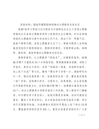 经验材料：强指导重跟踪  持续推动主题教育走深走实
