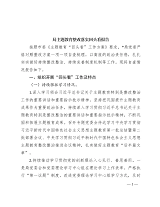 局主题教育整改落实回头看报告