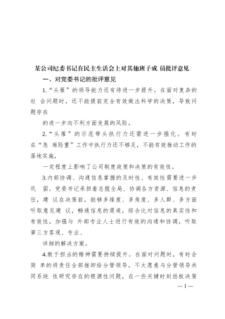 某公司纪委书记在主题教育专题民主生活会上对其他班子成员批评意见